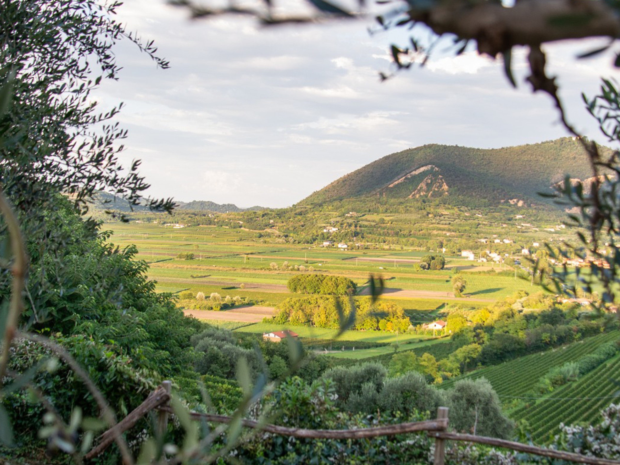 gallery-filo-11