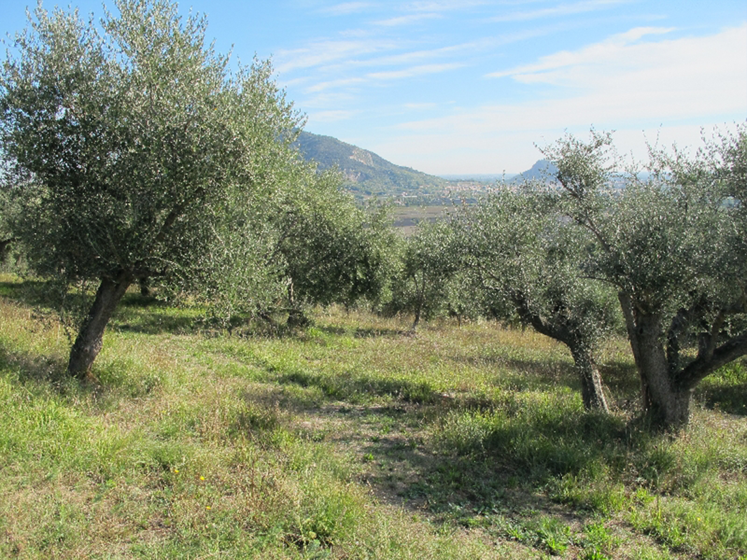 gallery-filo-5